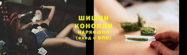 винт Богородицк