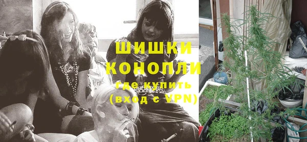каннабис Богданович