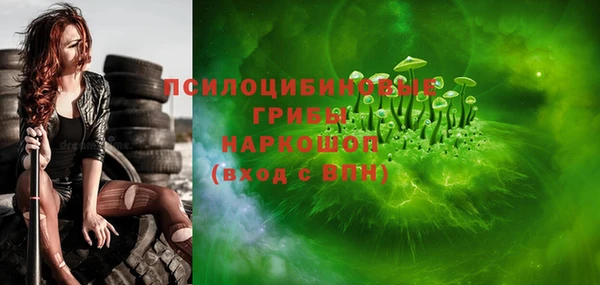 винт Богородицк